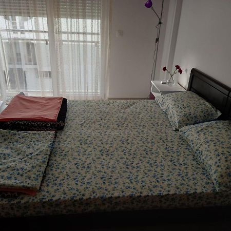 Apartman Savic Plus Apartman Bar Kültér fotó